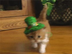 giphy 1 Saint’s Patrick Day's Traps you Should Be Alert Of