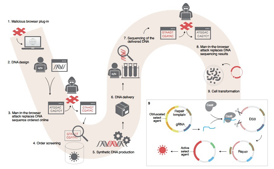 A new type of cyber-biological attack