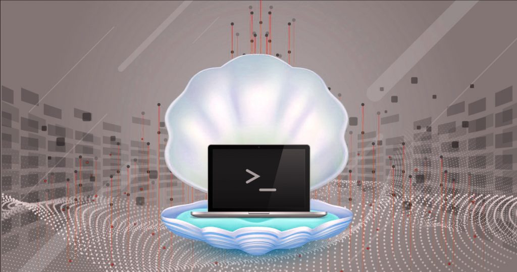 cyberattacks using web shells