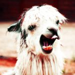 ALPACA use wildcard certificates