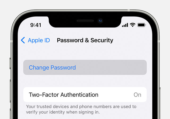 Apple ID password 