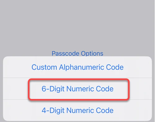 IOS passcode options