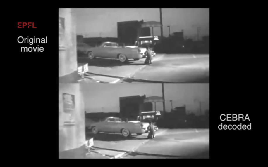 AI Generated Video Based on Mouse Brain Signals 2 AI and brain signals