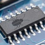 25 most dangerous bugs