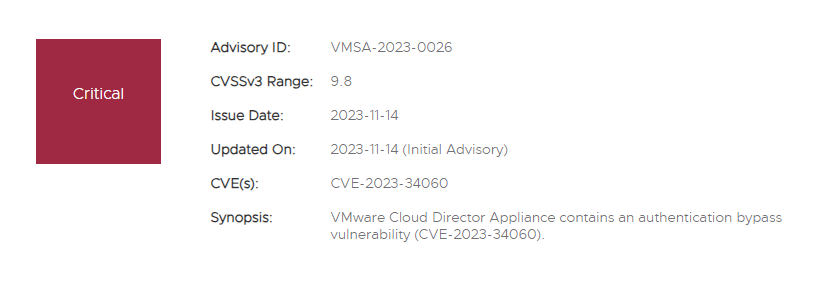 CLOUD DIRECTOR VULNERABILITY 