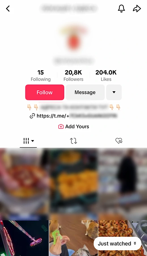 Suspicious TikTok link in bio example