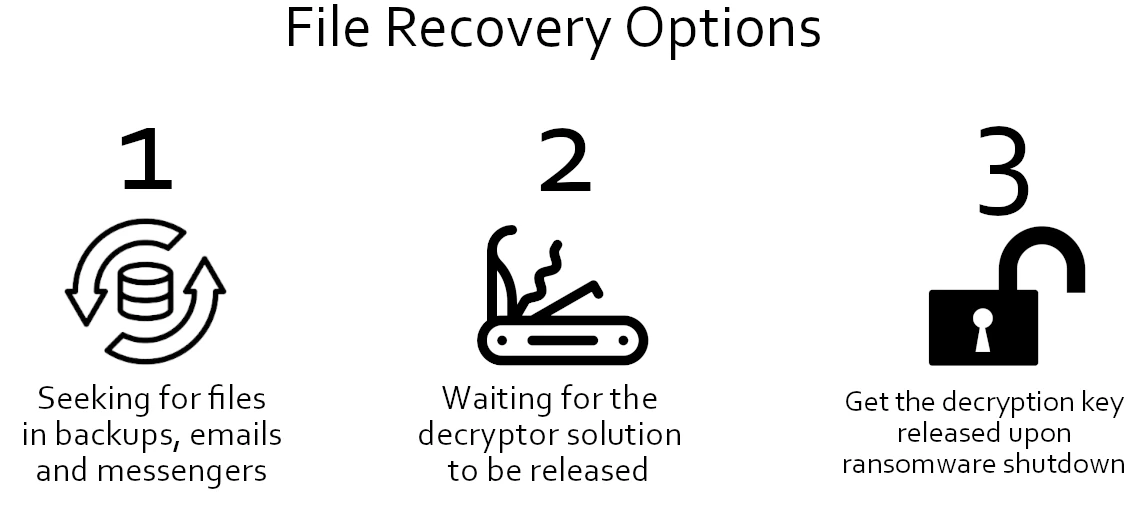 MrB Ransomware (.mrB Files) - Analysis & File Decryption 4 File recovery options