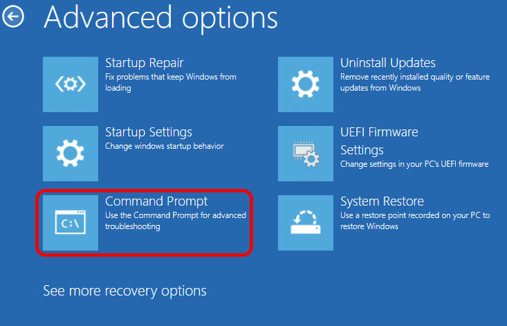 Windows Recovery Environment advanced options screen.