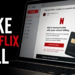 Fake Netflix billing email pulling payment details toward a phishing hook.