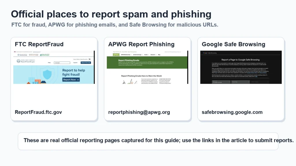 Real screenshots of FTC ReportFraud, APWG Report Phishing, and Google Safe Browsing reporting pages.