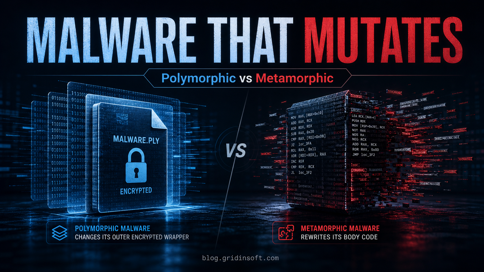 Polymorphic vs Metamorphic Virus: Difference & Removal