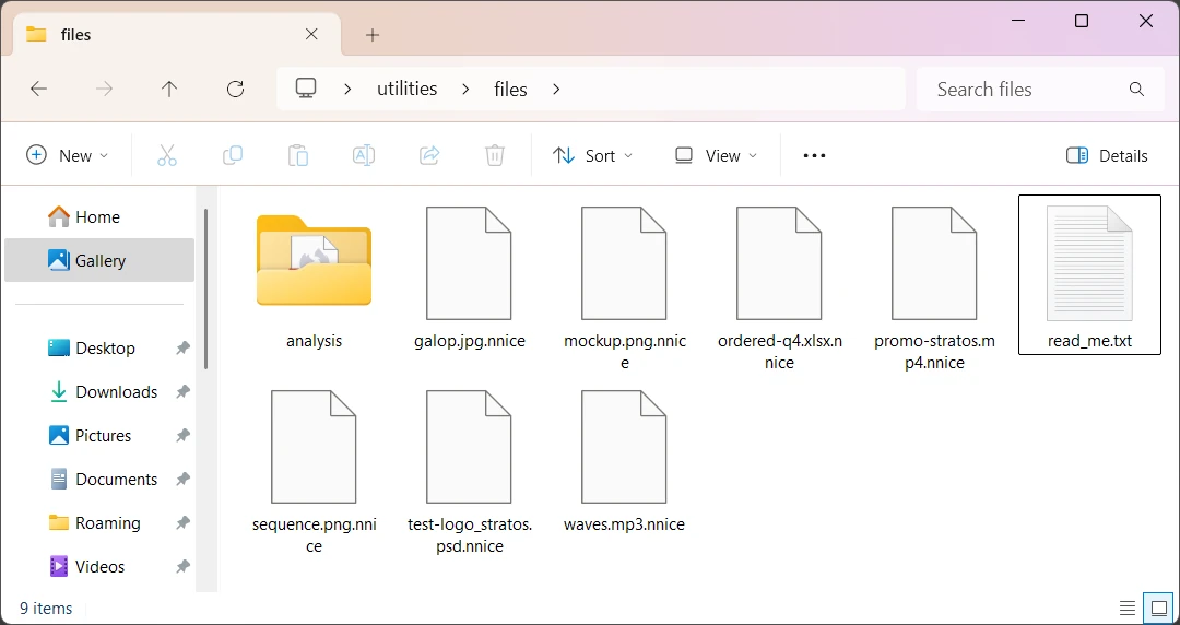 Nnice Ransomware 2 .nnice files