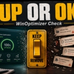 Ashampoo WinOptimizer PUP cleanup or false positive decision switch.