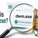 dwm.exe process card checked for the correct Windows System32 path and a suspicious wrong-path copy