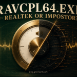 RAVCpl64.exe Realtek or impostor safety check with a split audio-control dial