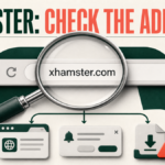 Browser address check for xHamster redirects, notifications, and downloads.