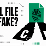 Legitimate Windows file casting C and PC lookalike shadows during an identity check.