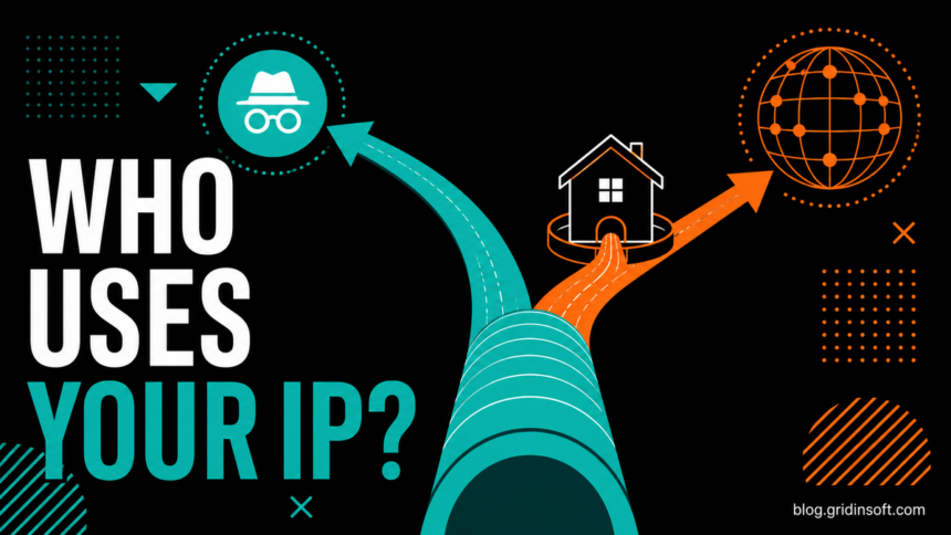 A VPN tunnel splits between private browsing and public web data access through a home IP address.