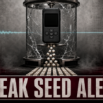 A generic hardware wallet inside a cracked entropy chamber above dice falling into a predictable pattern.