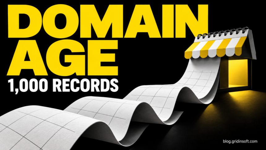 Domain Age of Flagged Online Stores: A Study of 1,000 Records 1 A calendar unfolds into a shop awning beside the words Domain Age and 1,000 Records.