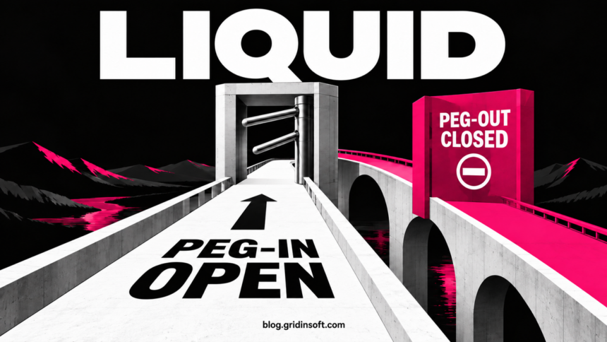 A one-way bridge contrasts an open peg-in path with a blocked peg-out lane.