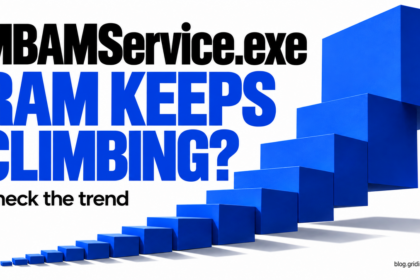 MBAMService.exe RAM use represented by ascending blue blocks.