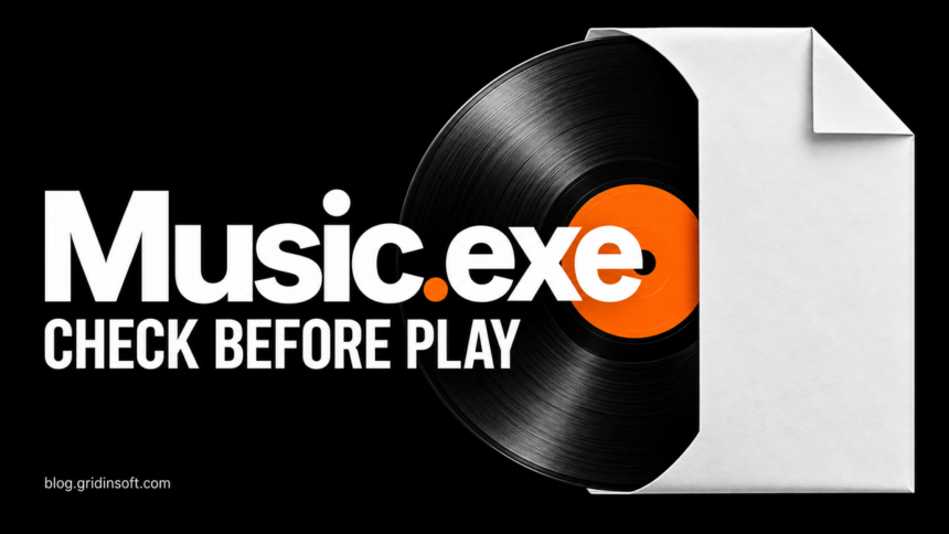 Music.exe file sleeve and vinyl record with the words Check Before Play