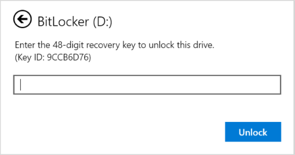 Lock Icon on a Drive in Windows 11: Is It a Virus? 2 BitLocker D drive dialog asking for a 48-digit recovery key with an empty entry field